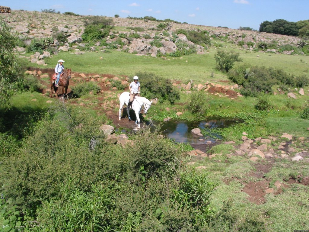 Photo #4 | Horse riding Holiday in Mexico | Image #4/7 | 