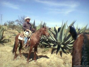 Horse riding Holiday in Mexico | Hidalgo, Mexico | Horseback Riding & Dude Ranches
