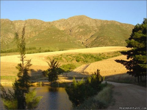 Tulbagh valley
