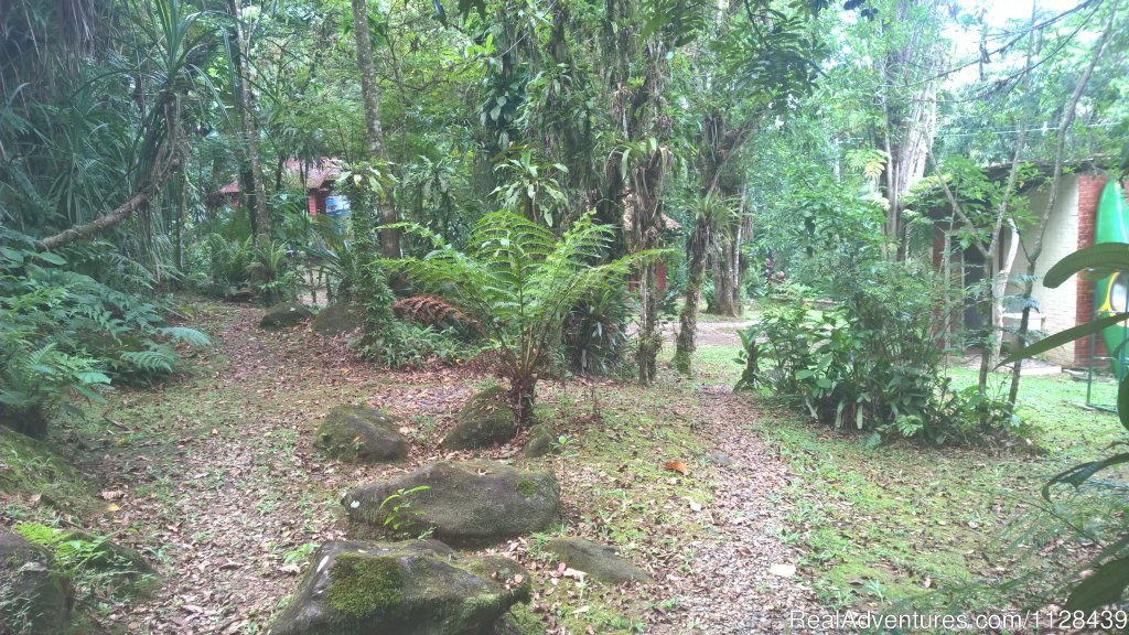 Pousada?s garden | Enjoy life in the Atlantic Rain Forest | Morretes, Brazil | Bed & Breakfasts | Image #1/9 | 