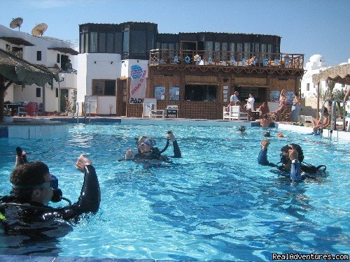 Ready for their first bubbles underwater | Diving In Dahab | Dahab, Egypt | Scuba Diving & Snorkeling | Image #1/6 | 