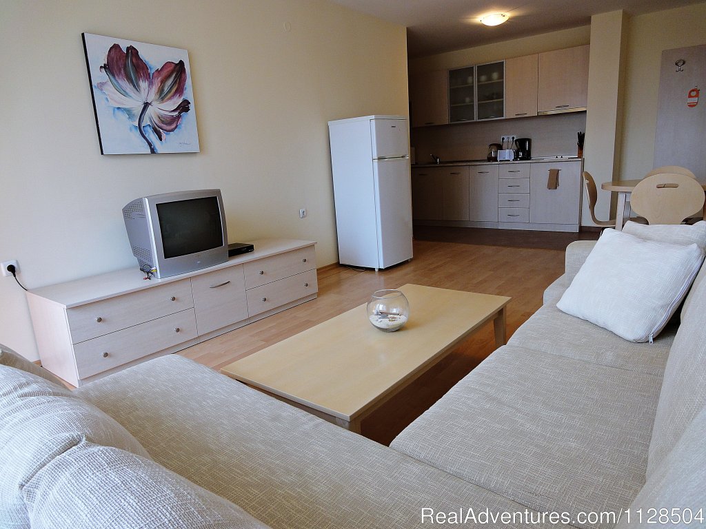 Living room | Your Perfect Family Vacation in Bulgaria | Image #12/20 | 