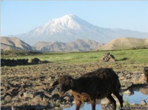 Trekking In Kackar And Ararat Mountaİns