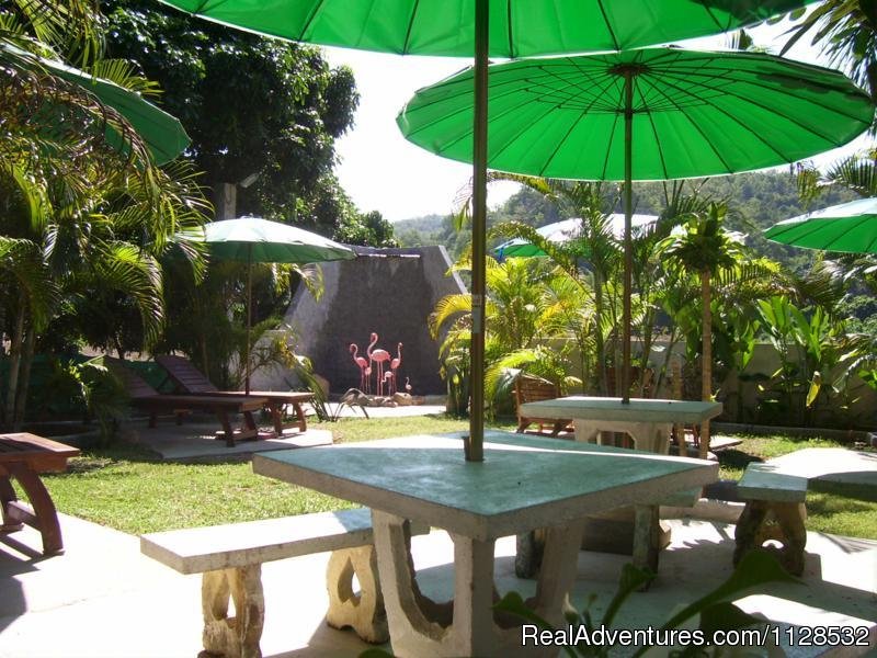 Garden | Swiss Ticino Home Stay & Restaurant - Chiang Mai | Image #14/16 | 