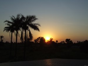 A truly West African adventure | Gambia, Gambia Hotels & Resorts | Poti, Gambia Hotels & Resorts