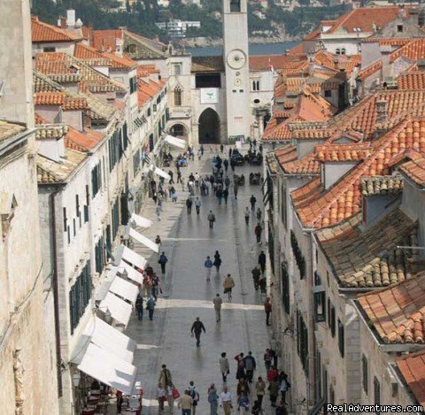 PLACA-STRADUN main strip just 60 meter from apt.