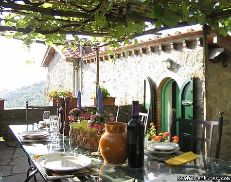 A meal under the vine-covered patio