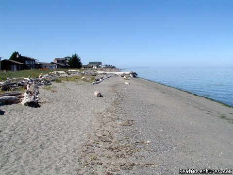 Enjoy the private beach and tidelands | 3 Crabs Beach House - Private Beach & Hot Tub | Image #5/9 | 