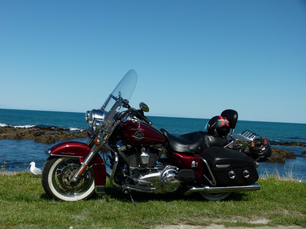 Harley Roadking Classic | New Zealand Motorcycle Tours & Hire | Image #2/3 | 