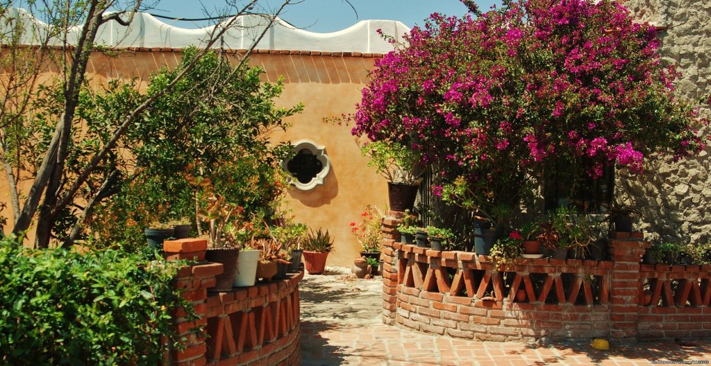 Kitchen Door | Mexican Cooking Classes Boutique Accommodation | Image #6/21 | 