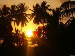 Shehe Bungalows-Jambiani-Zanzibar