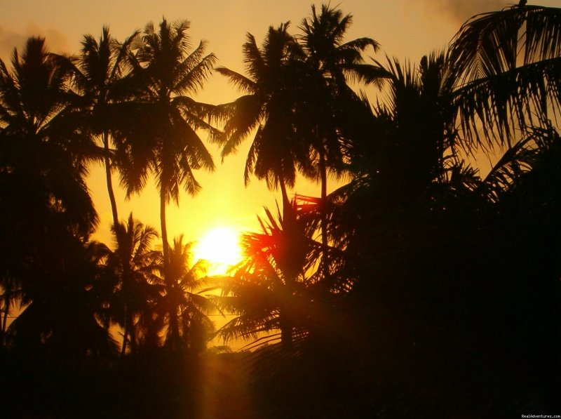 sun set | Shehe Bungalows-Jambiani-Zanzibar | Zanzibar, Tanzania | Hotels & Resorts | Image #1/2 | 