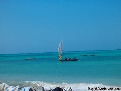 Shehe Bungalows-Jambiani-Zanzibar | Image #2/2 | 