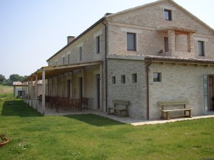 Yoga in the grass! | Ancona, Italy Bed & Breakfasts | Ascoli Piceno, Italy Bed & Breakfasts