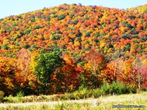 Fall foliage | Image #11/13 | Affordable Guided Hiking & Kayaking Vacations
