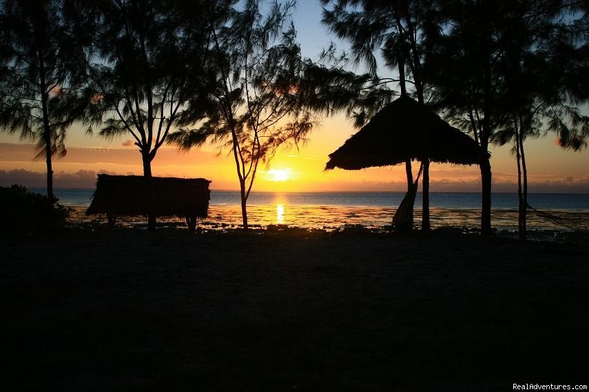 Mbuyuni Beach Village-Jambiani - Zanzibar | Image #9/12 | 