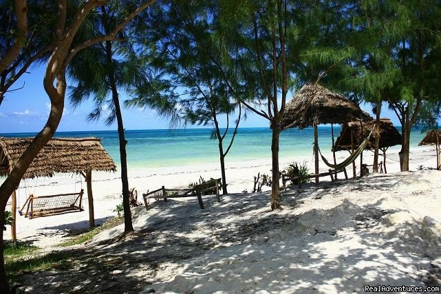 Mbuyuni Beach Village-Jambiani - Zanzibar | Image #10/12 | 