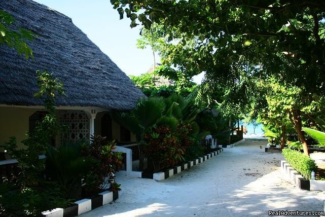 Mbuyuni Beach Village-Jambiani - Zanzibar | Image #12/12 | 