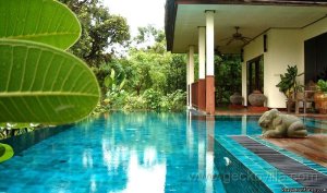 GECKO VILLA - unique experiences of NE Thailand | Udonthani, Thailand Vacation Rentals | Chonburi, Thailand