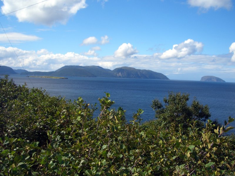 Bay of Islands tour | My Newfoundland Adventures | Image #7/22 | 