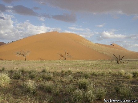 Red Dunes at Sossusvlei | Namibian Camping Tours and Coastal Day Tours | Namibia, Namibia | Sight-Seeing Tours | Image #1/17 | 