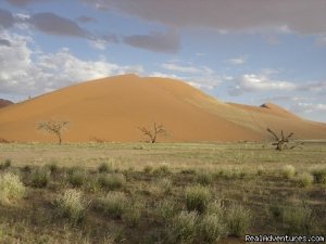 Namibian Camping Tours and Coastal Day Tours | Sight-Seeing Tours Namibia, Namibia | Sight-Seeing Tours Namibia