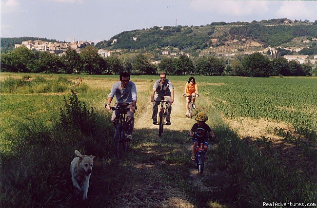 bike tours | Unforgettable holidays near Siena | asciano, Italy | Vacation Rentals | Image #1/3 | 