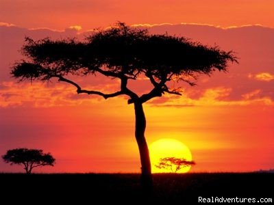 Kenyan Sunset | Adventure Overland Safaris with Africa Travel Co | Image #9/21 | 