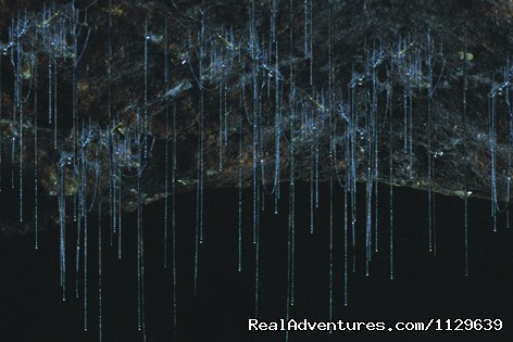 Underworld Adventures GlowWorms