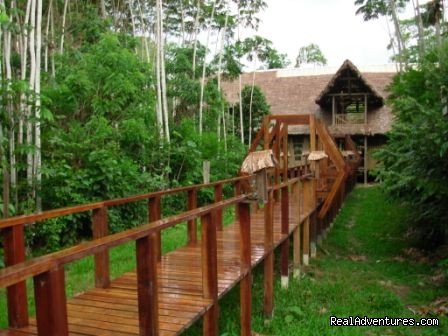Amazon Jungle lodge | Incas & Amazon - Peru Small Group Adventure | Image #12/15 | 