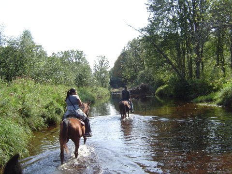 Ride down the Wedge's Creek | Image #3/15 | Gentle,well-trained Horses-Horseback Adventures