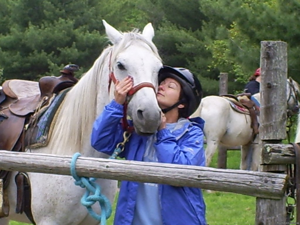 Gentle,well-trained Horses-horseback Adventures | Image #3/14 | 