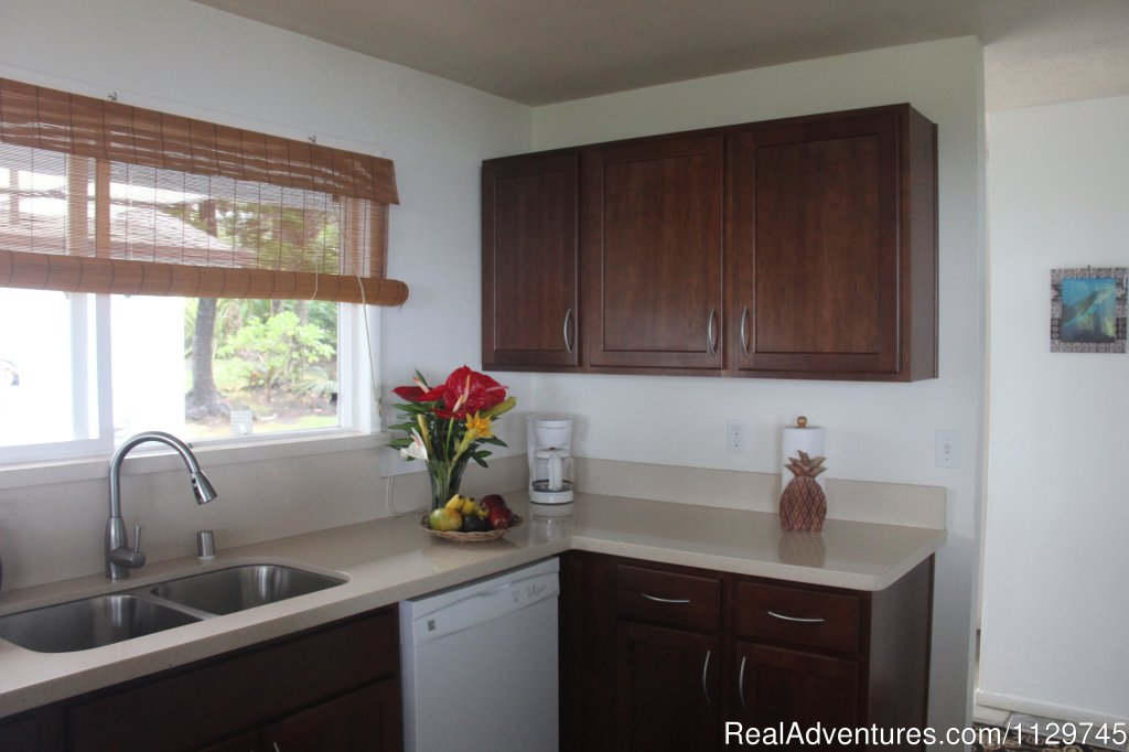Modern kitchen with quartz countertops | Big Island Hawaii Vacation Homes at a Great Price | Image #12/26 | 