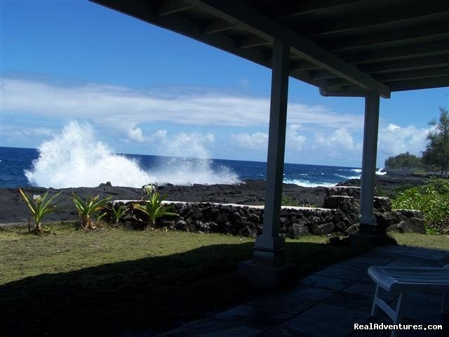 The everchanging Pacific Ocean - whales, dolphins, turtles | Big Island Hawaii Vacation Homes at a Great Price | Image #19/26 | 