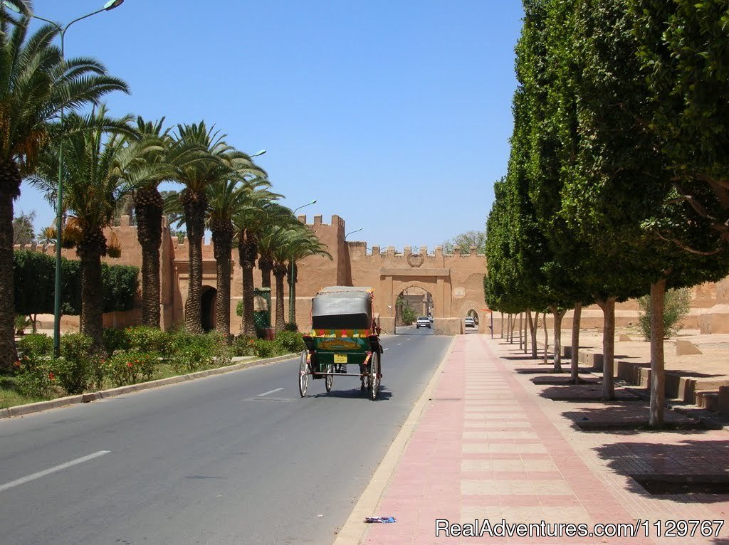 imperical cities circuit Morocco | Tours, Holiday & Vacation packages in Morocco | Image #6/20 | 