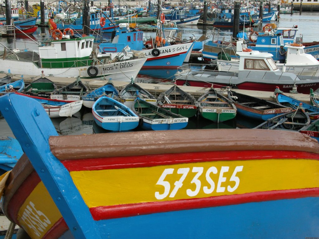 Setubal - fishermans warf | Blue Coast Bikes Luxury Bike Tours in Portugal | Image #14/17 | 