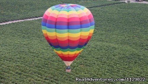 Pride over the vineyards. | Hot Air Balloon Rides above Northern California | Image #2/7 | 