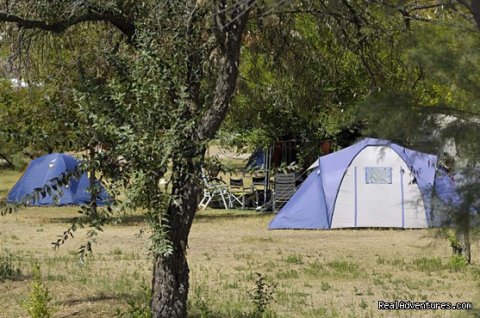 Camping Ca'Savio - pitches