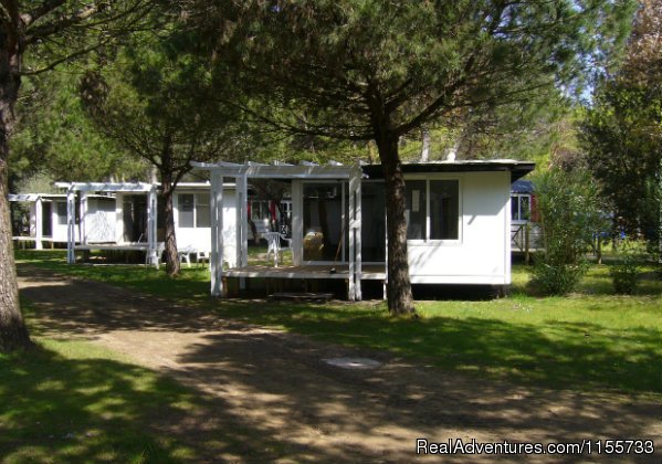 Camping Ca'Savio - Chalet Canova | Mobile Homes, Bungalows, Chalets available | Image #16/16 | 