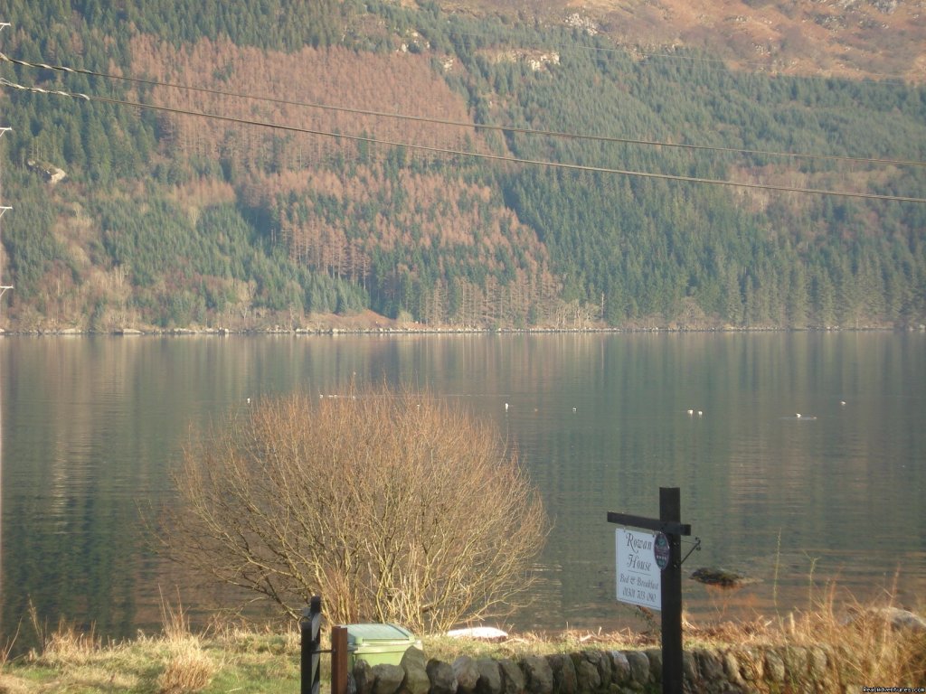 view from rowan house -loch goil | Lochside Accomodation In A Rural Location | Image #3/10 | 