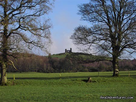 View from front gate | Luxury Castleoliver Coach House | Image #12/15 | 