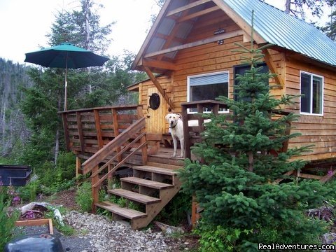 Tidepool Cabin | the reason you'll come to Alaska | Image #2/4 | 
