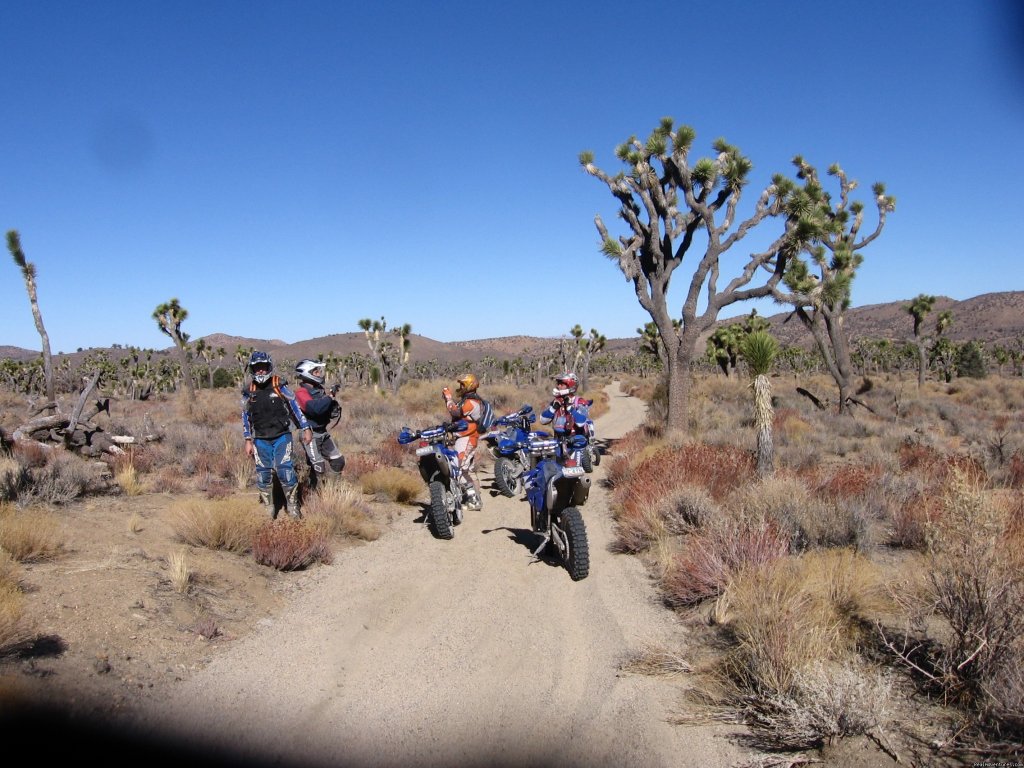 Yucca Valley | Motoventures Dirt Bike Training, Rides And Trials | Image #16/22 | 