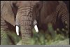 Globetrotters East African Safaris | Kampala, Uganda