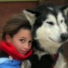 Dog Sledding Vacations & Dog Mushing Tours Our sled dogs are famously friendly!