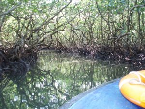 A Village Resort In The Andaman Islands | Baratang, India Hotels & Resorts | Great Vacations & Exciting Destinations