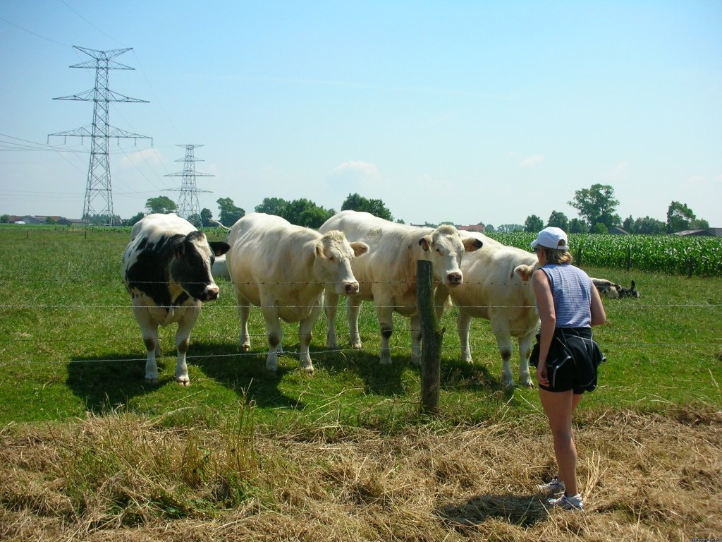 Biking Through Belgium | Image #24/24 | 