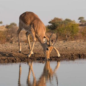 Unique Small Group Photo Safari in South Africa