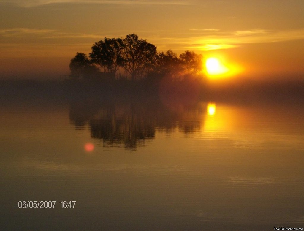 Morning In The Danube Delta | Eco Tours-birdwatching | Image #5/23 | 