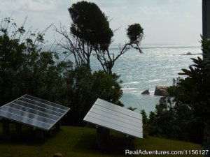 Relax in Nature at Sea Cliff Cottages